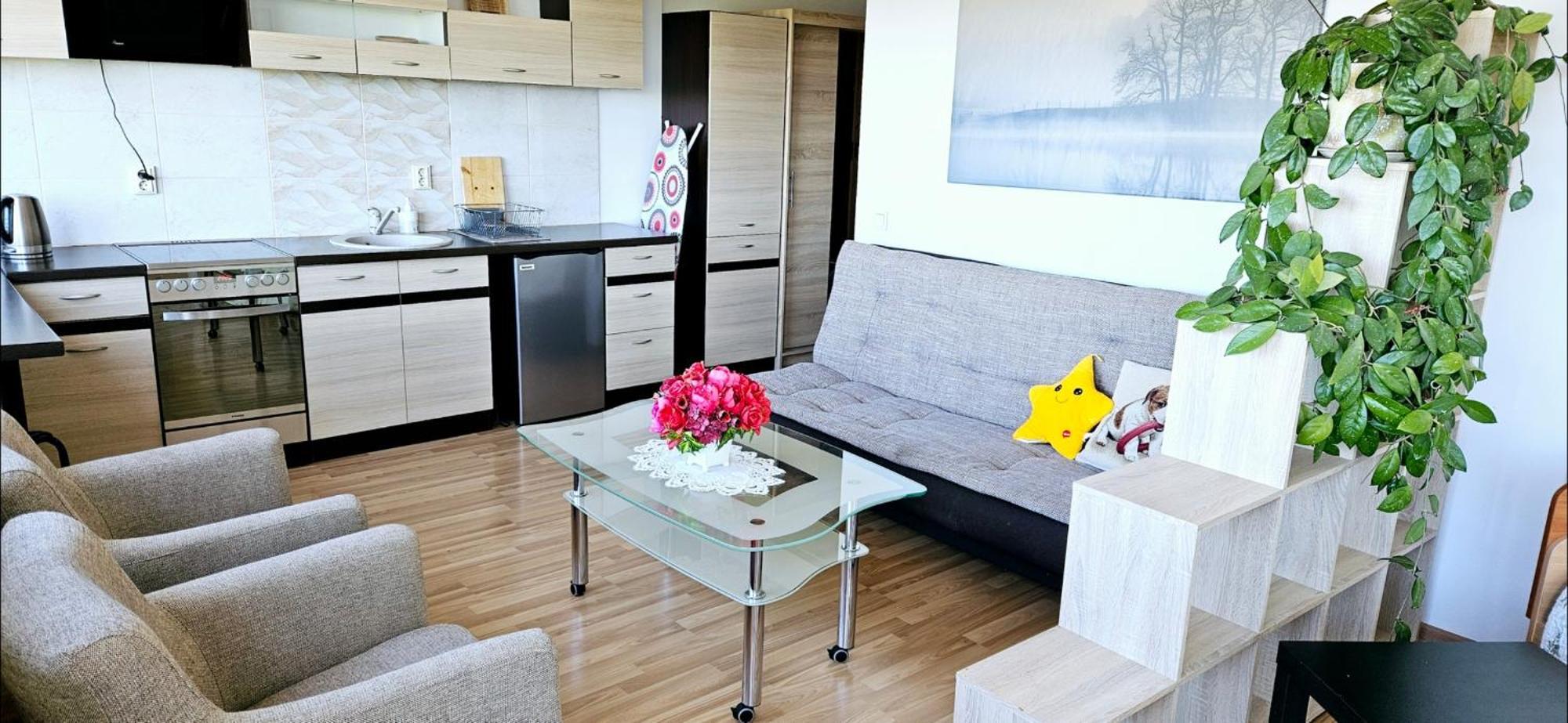 Apartmán Veziu 10 Palanga Exteriér fotografie